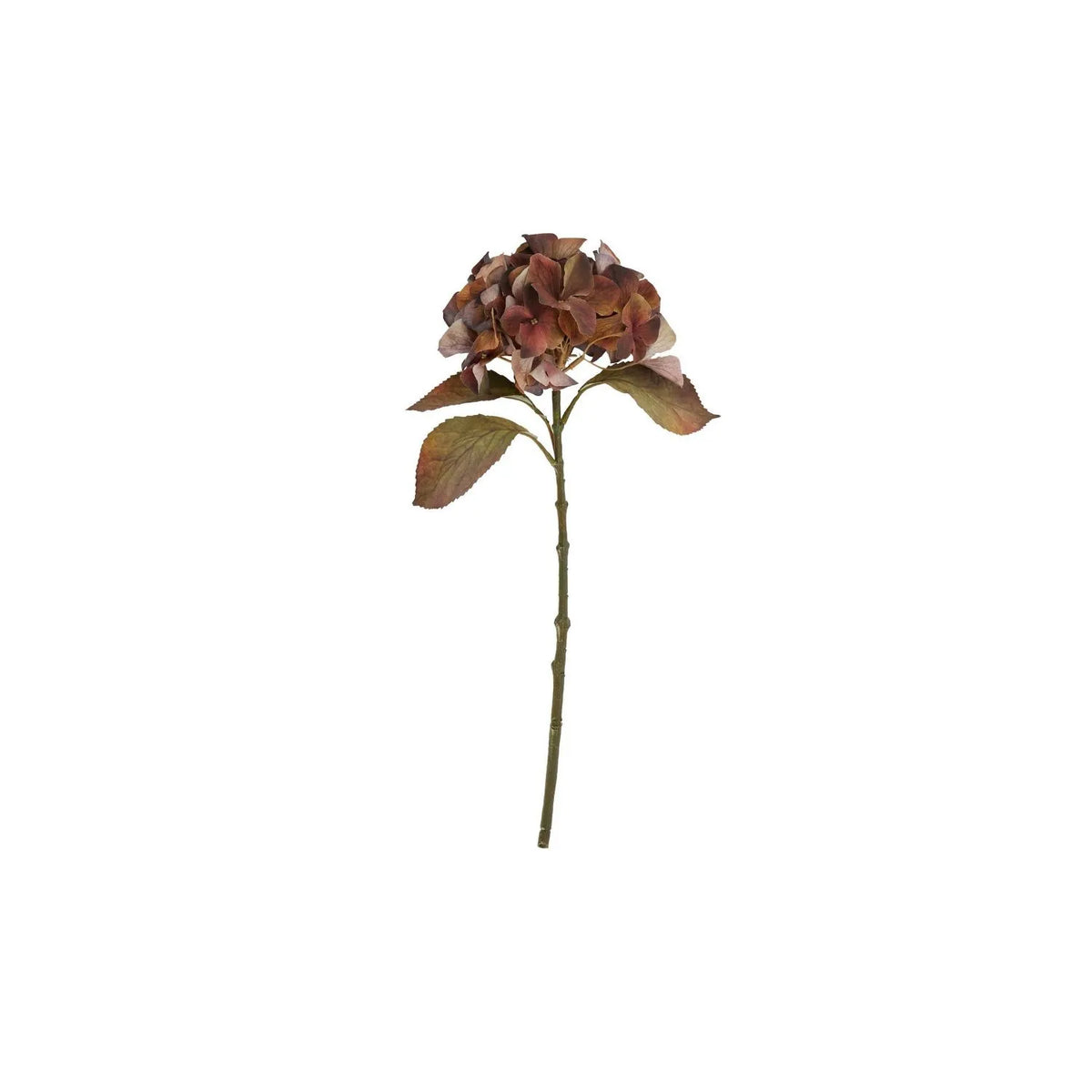 Artificial Russet Brown & Burgundy Hydrangea Stem with Realistic Autumn Foliage – Lifelike Faux Brown Hydrangea Flower 50x26x26cm – Full single stem showing rounded flower head and autumn-coloured leaves against a white background | Click Style