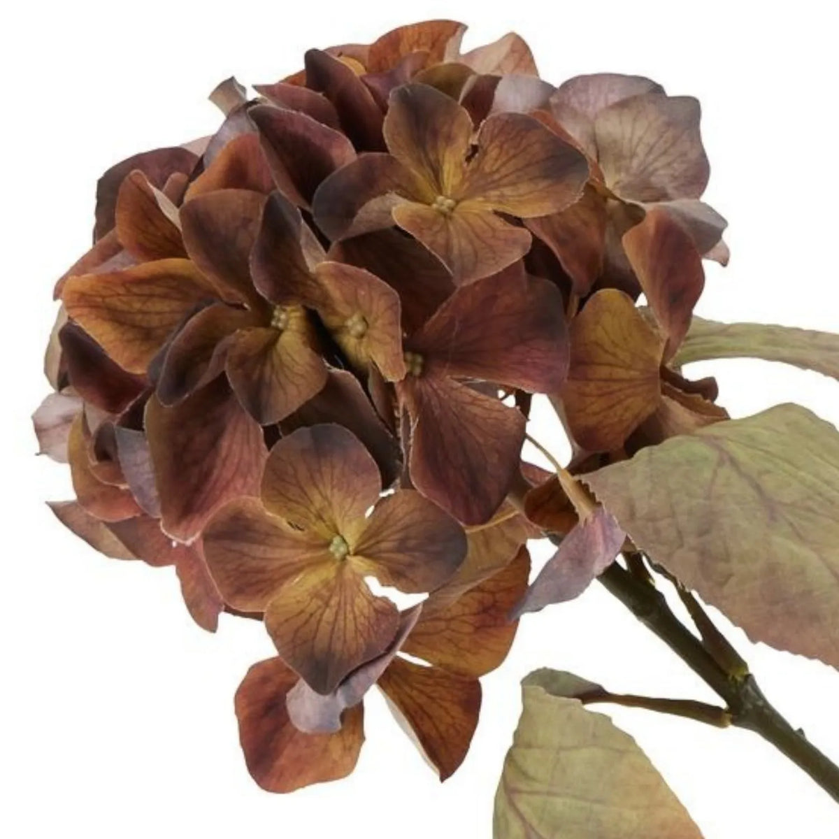 Artificial Russet Brown & Burgundy Hydrangea Stem with Realistic Autumn Foliage – Lifelike Faux Brown Hydrangea Flower 50x26x26cm – Side view of rounded hydrangea flower head with warm copper-brown petals and muted autumn leaves | Click Style