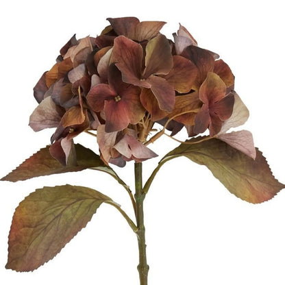 Artificial Russet Brown & Burgundy Hydrangea Stem with Realistic Autumn Foliage – Lifelike Faux Brown Hydrangea Flower 50x26x26cm – Detailed view of layered brown hydrangea flowers with copper highlights and naturally aged autumn foliage | Click Style