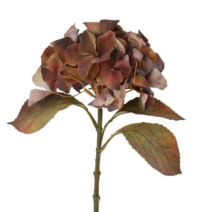 Artificial Russet Brown & Burgundy Hydrangea Stem with Realistic Autumn Foliage – Lifelike Faux Brown Hydrangea Flower 50x26x26cm – Close-up of russet brown and burgundy hydrangea petals with realistic olive-green and brown leaves | Click Style