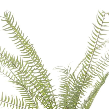 Artificial Small Green Boston Fern with Delicate Fronds & Fiddlehead Details in White Stone Pot – Realistic Potted Faux Indoor Plant – Detailed View of Layered Green Fern Foliage & Arching Fronds | Click Style