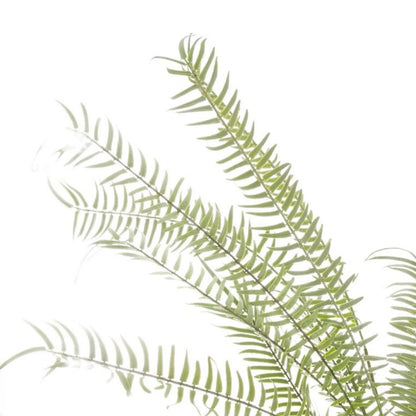 Artificial Small Green Boston Fern with Delicate Fronds & Fiddlehead Details in White Stone Pot – Realistic Potted Faux Indoor Plant – Close-Up of Fine Green Fern Fronds & Individual Leaflets | Click Style