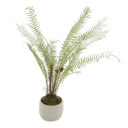 Artificial Small Green Boston Fern with Delicate Fronds & Fiddlehead Details in White Stone Pot – Realistic Potted Faux Indoor Plant – Full Plant Display Showing Green Fronds & White Stone Pot | Click Style