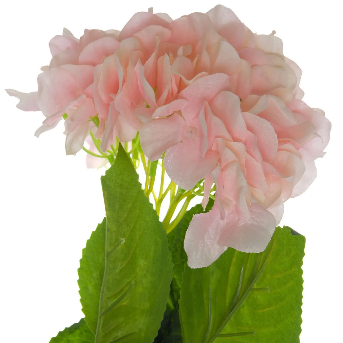 Artificial Soft Pink Long Stem Hydrangea with Full Rounded Flower Head & Realistic Green Leaves – Lifelike Pink Faux Hydrangea Flower 70cm – Close-Up of Layered Soft Pink and Cream Hydrangea Petals with Natural Colour Variations and Realistic Green Leaves | Click Style