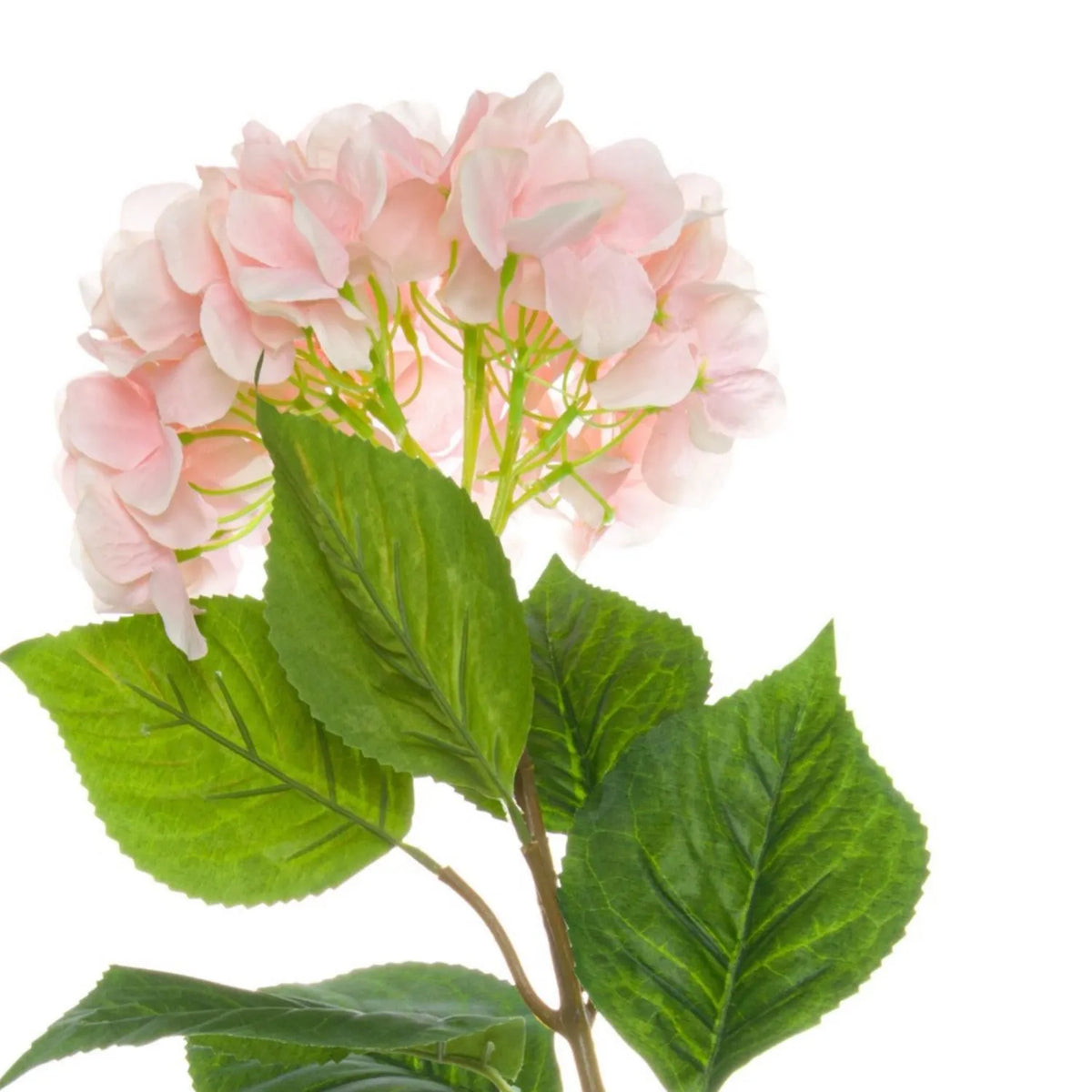 Artificial Soft Pink Long Stem Hydrangea with Full Rounded Flower Head & Realistic Green Leaves – Lifelike Pink Faux Hydrangea Flower 70cm – Detailed View of Rounded Blush Pink Hydrangea Bloom with Delicate Fabric Petals and Textured Serrated Green Foliage | Click Style