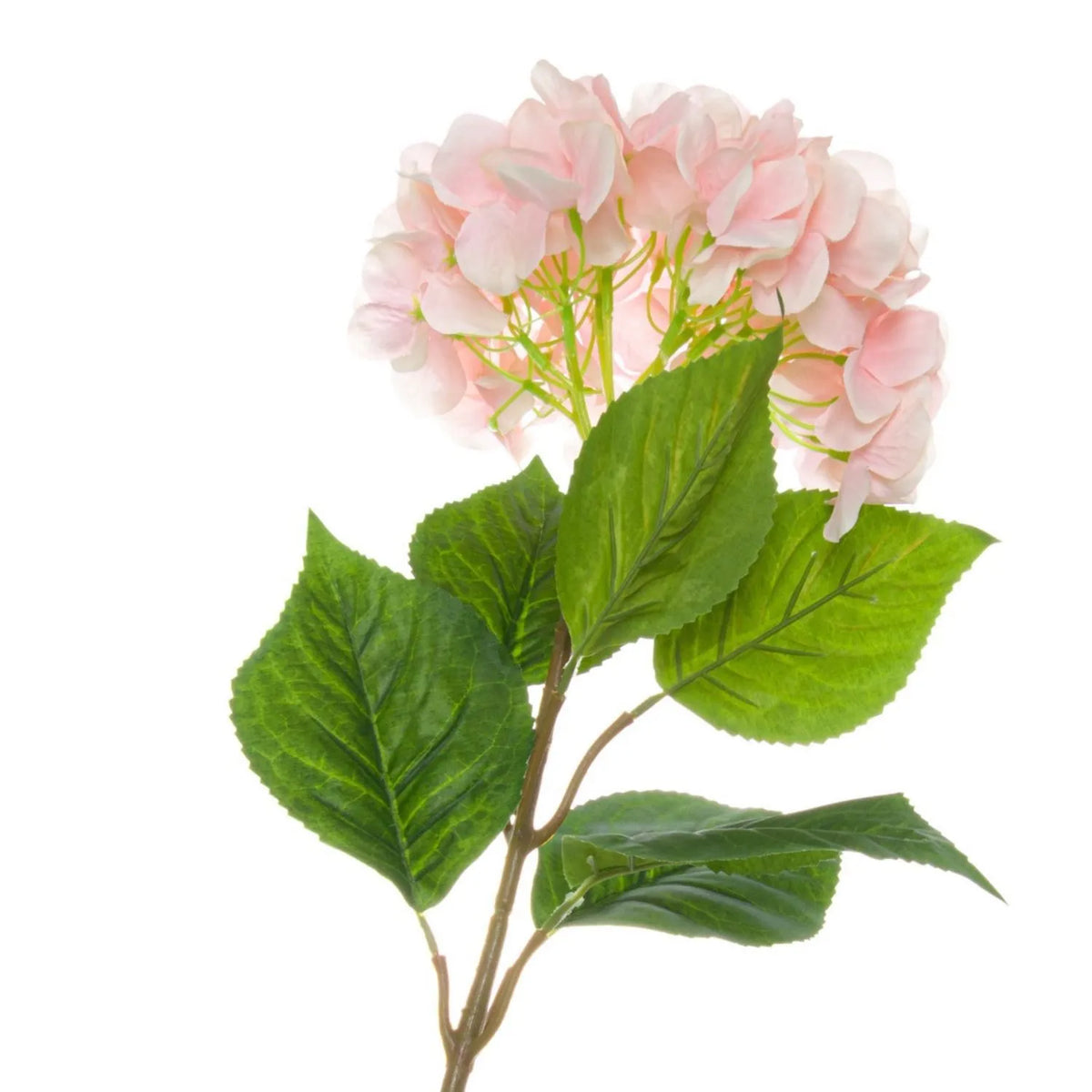 Artificial Soft Pink Long Stem Hydrangea with Full Rounded Flower Head & Realistic Green Leaves – Lifelike Pink Faux Hydrangea Flower 70cm – Close-Up of Soft Pastel Pink Hydrangea Flower Head with Broad Veined Green Leaves and Branching Stem | Click Style