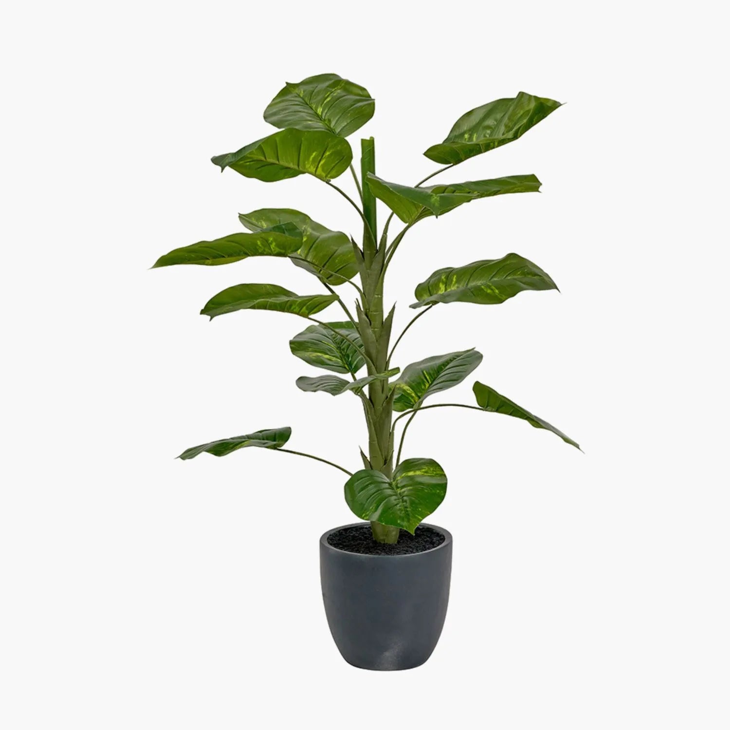 Artificial Tall Elephant Ear Plant with Dark Grey Pot – Realistic Faux Potted Colocasia Esculenta Indoor Decor 120x80x80cm - Click Style