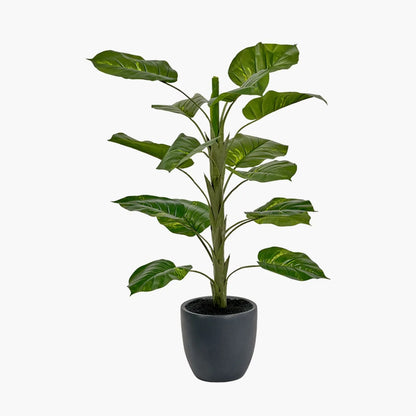 Artificial Tall Elephant Ear Plant with Dark Grey Pot – Realistic Faux Potted Colocasia Esculenta Indoor Decor 120x80x80cm - Click Style