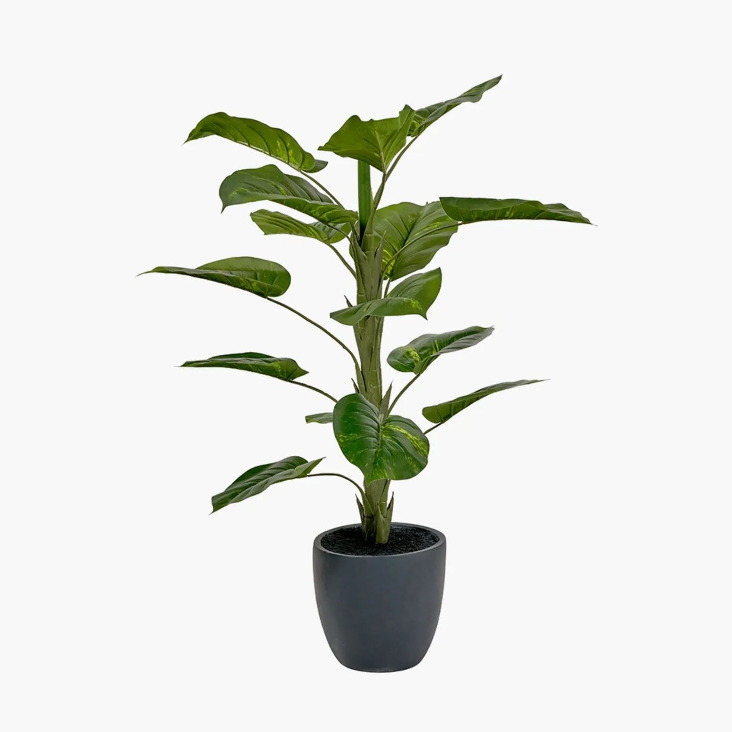 Artificial Tall Elephant Ear Plant with Dark Grey Pot – Realistic Faux Potted Colocasia Esculenta Indoor Decor 120x80x80cm - Click Style