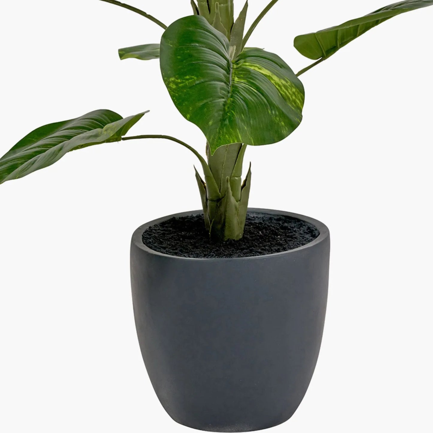 Artificial Tall Elephant Ear Plant with Dark Grey Pot – Realistic Faux Potted Colocasia Esculenta Indoor Decor 120x80x80cm - Click Style