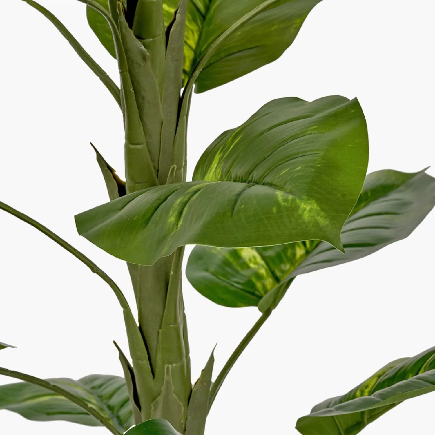 buy elephant ear plant uk Artificial Tall Elephant Ear Plant with Dark Grey Pot – Realistic Faux – Click Style