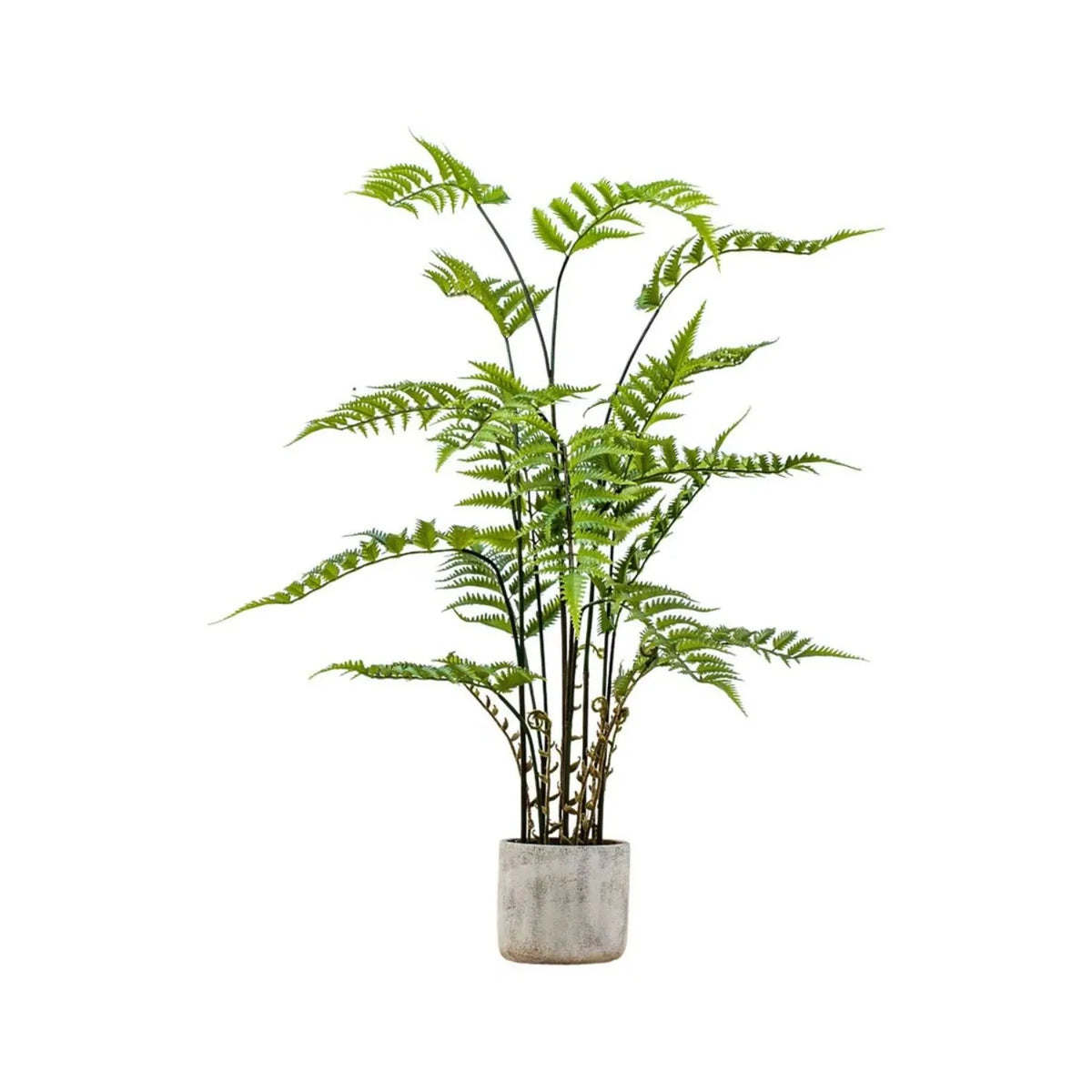 Artificial Tall Green Fern Plant in Distressed Cement Pot with Realistic Fronds – Lifelike Faux Indoor Plant 107x41x41cm showing an alternative view of its spreading green fronds and natural branching arrangement | Click Style