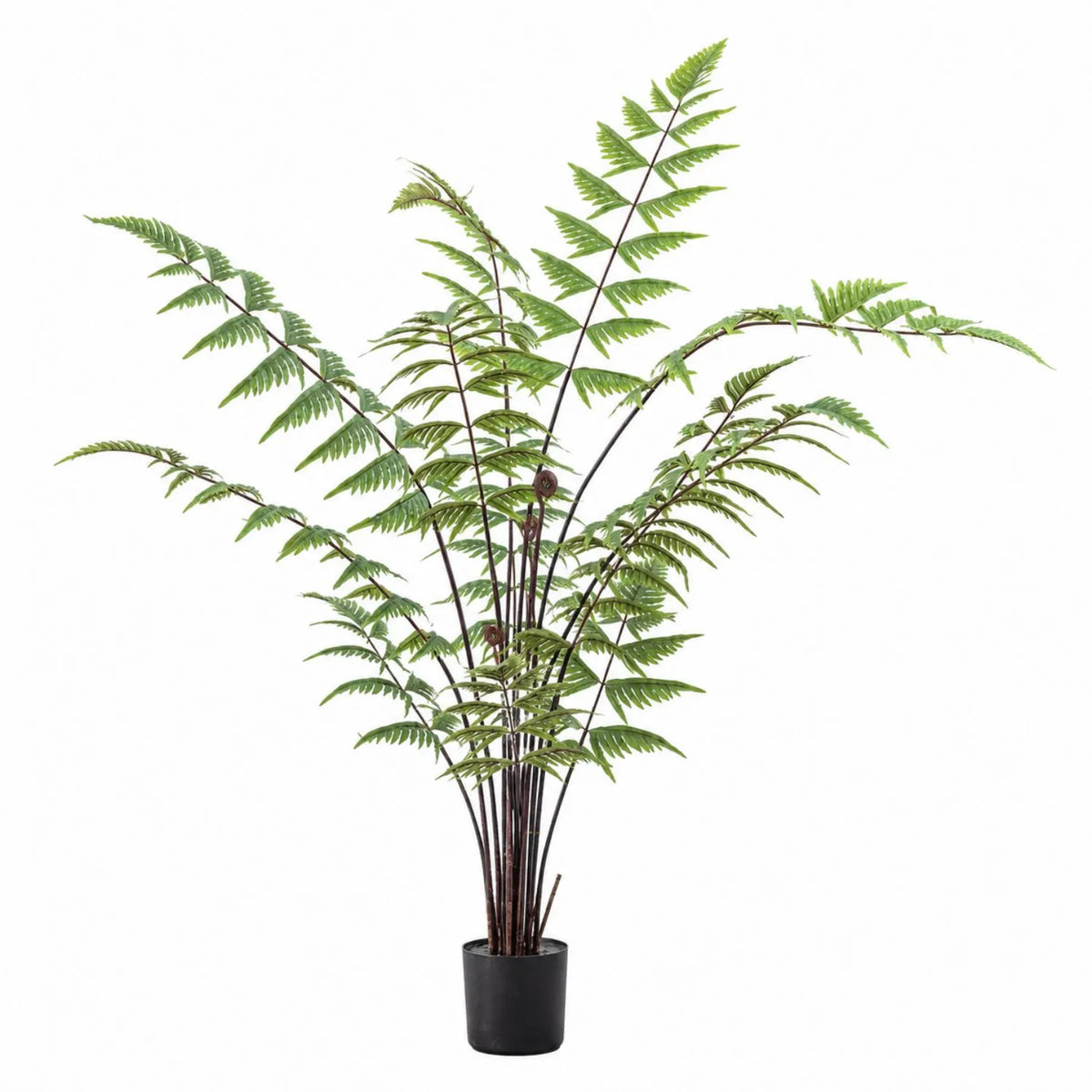 Artificial Tall Green Fern with Delicate Arching Fronds & Brown Fiddleheads in Black Pot – Realistic Floor Standing Faux Fern Plant 120x76x76cm – Alternative full-length view showing the tall, spreading green fronds, brown fiddlehead details and black nursery pot | Click Style
