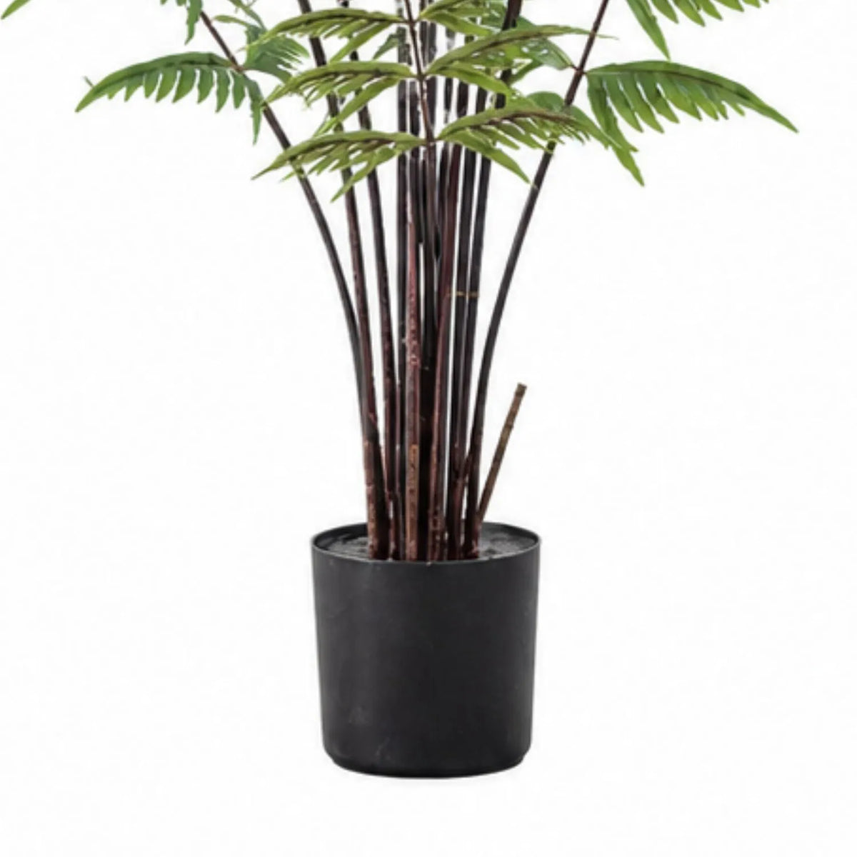 Artificial Tall Green Fern with Delicate Arching Fronds & Brown Fiddleheads in Black Pot – Realistic Floor Standing Faux Fern Plant 120x76x76cm – Close-up of the compact black plastic nursery pot and the slender brown stems emerging from its base | Click Style