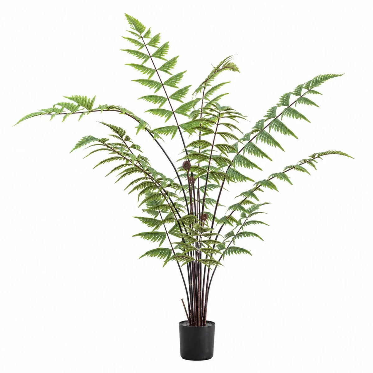Artificial Tall Green Fern with Delicate Arching Fronds & Brown Fiddleheads in Black Pot – Realistic Floor Standing Faux Fern Plant 120x76x76cm – Full front view showing the complete fern, airy arching green fronds, slender brown stems and black nursery pot against a white background | Click Style