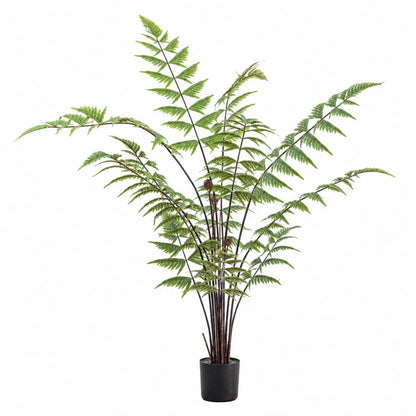 Artificial Tall Green Fern with Delicate Arching Fronds & Brown Fiddleheads in Black Pot – Realistic Floor Standing Faux Fern Plant 120x76x76cm – Full front view showing the complete fern, airy arching green fronds, slender brown stems and black nursery pot against a white background | Click Style