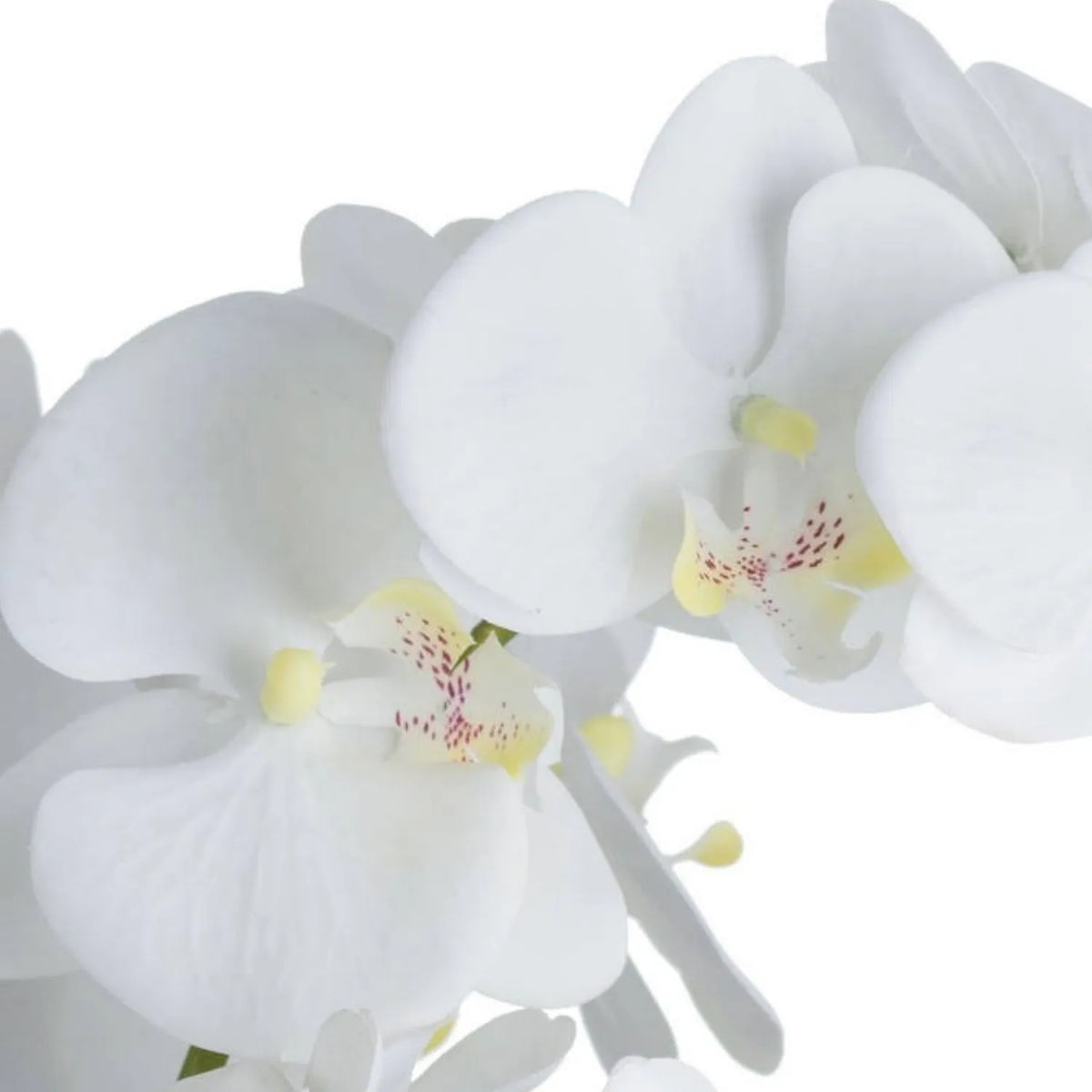 Artificial White Real-Touch Orchid showing delicate white petals, pale yellow centres and fine pink-speckled markings in close-up | Click Style