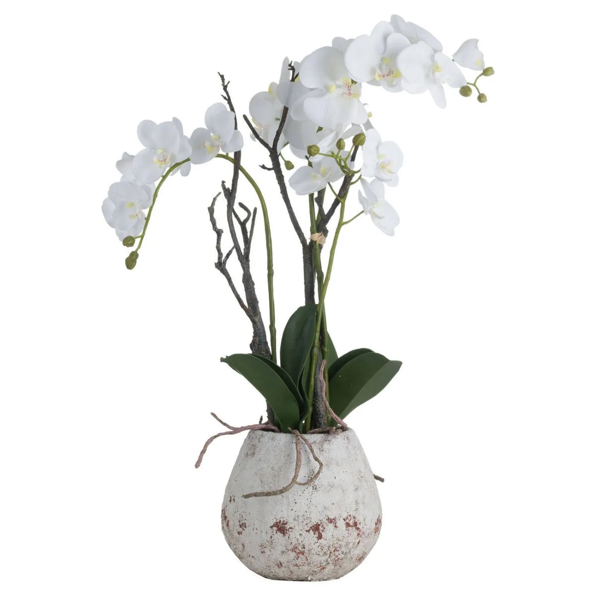 Artificial Tall White Orchid with Cascading Blooms, Realistic Exposed Roots & Dark Green Leaves in Weathered Stone Effect Pot 70x46x46cm | Click Style