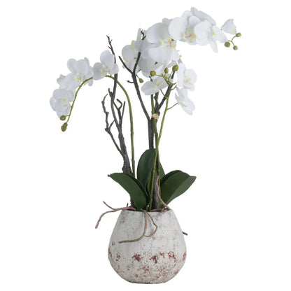 Artificial Tall White Orchid with Cascading Blooms, Realistic Exposed Roots & Dark Green Leaves in Weathered Stone Effect Pot 70x46x46cm | Click Style