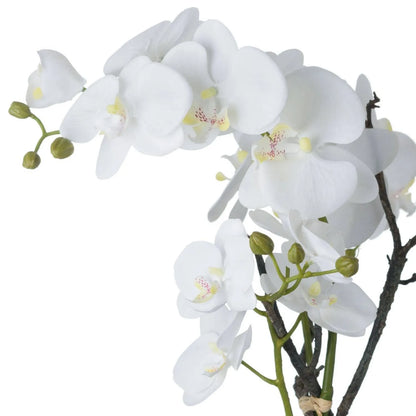 Artificial White Orchid with cascading white Phalaenopsis flowers, delicate yellow and pink-speckled centres, unopened green buds and woody branches | Click Style