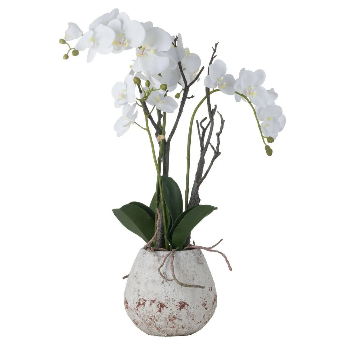 Artificial Tall White Orchid with arching Phalaenopsis blooms, green buds, realistic roots and dark green leaves in a rustic stone effect pot 70cm | Click Style