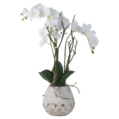 Artificial Tall White Orchid with arching Phalaenopsis blooms, green buds, realistic roots and dark green leaves in a rustic stone effect pot 70cm | Click Style