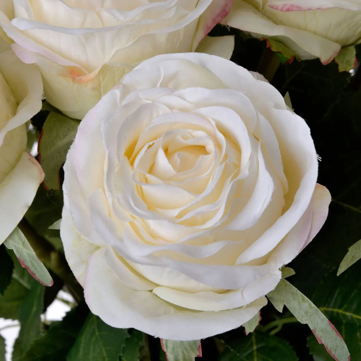 Artificial Traditional White Rose with Long Stem & Large Open Bloom – Lifelike White Faux Rose Flower with Realistic Green Foliage 71cm – Detailed View of Layered Creamy White Rose Petals | Click Style