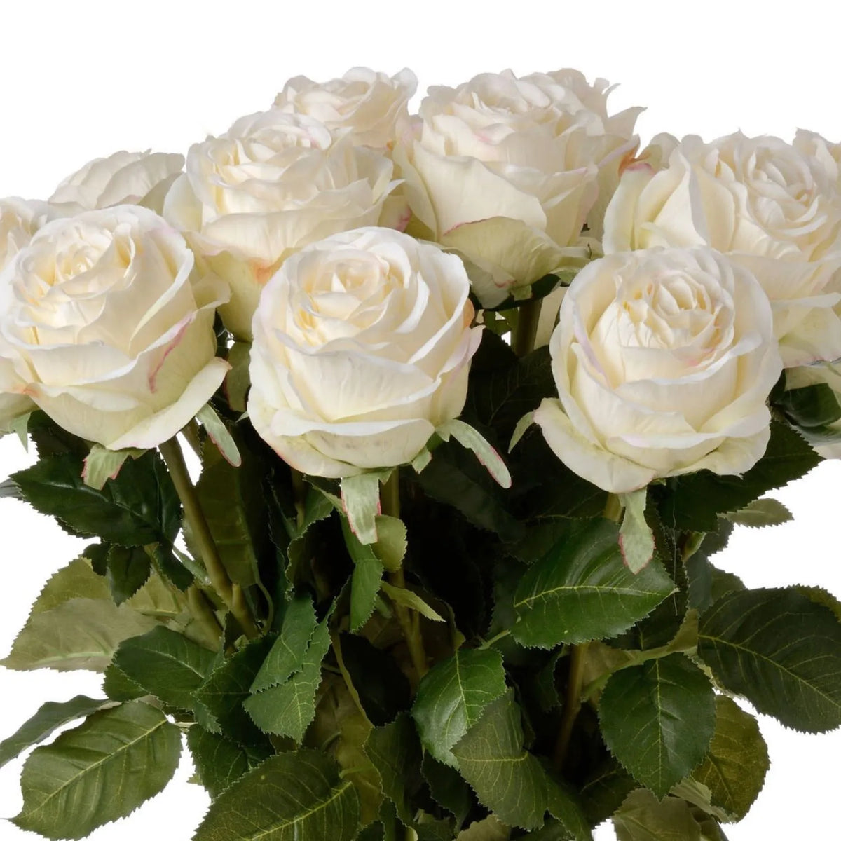 Artificial Traditional White Rose with Long Stem & Large Open Bloom – Lifelike White Faux Rose Flower with Realistic Green Foliage 71cm – Multiple Stems Showing Large White Rose Blooms & Realistic Green Foliage | Click Style