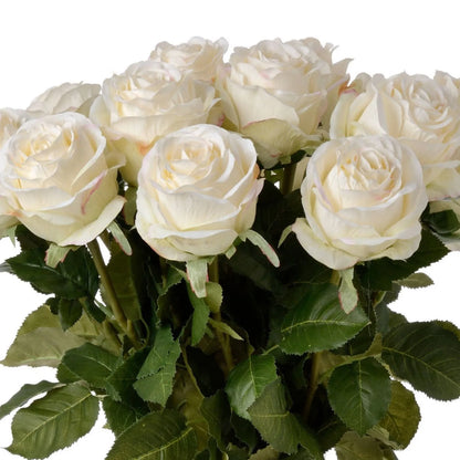 Artificial Traditional White Rose with Long Stem & Large Open Bloom – Lifelike White Faux Rose Flower with Realistic Green Foliage 71cm – Multiple Stems Showing Large White Rose Blooms & Realistic Green Foliage | Click Style