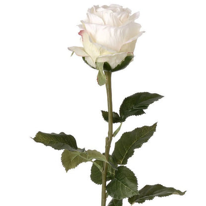 Artificial Traditional White Rose with Long Stem & Large Open Bloom – Lifelike White Faux Rose Flower with Realistic Green Foliage 71cm – Close-Up of White Rose Bloom Long Green Stem & Serrated Foliage | Click Style