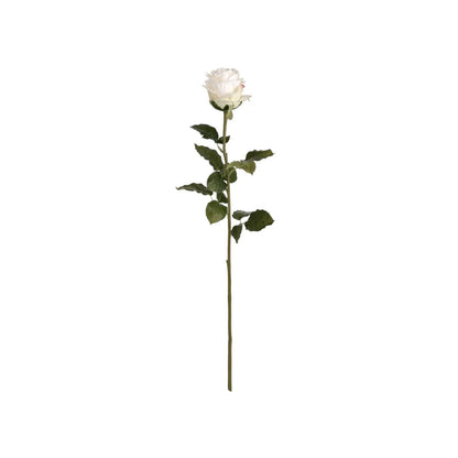 Artificial Traditional White Rose with Long Stem & Large Open Bloom – Lifelike White Faux Rose Flower with Realistic Green Foliage 71cm – Full Stem View | Click Style
