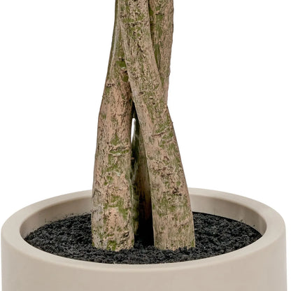 twisted tree house plant Artificial Twisted Bay Tree with Neutral Cream Pot – Tall Floor-Standi – Click Style