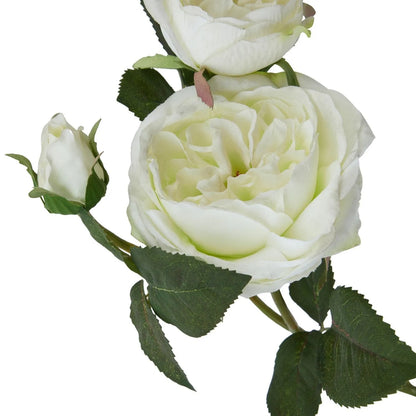 Artificial White Charity Rose Stem with Open Blooms & Rosebud – Lifelike White Faux Rose Flowers with Realistic Green Foliage 58cm – Close-Up of Layered Petals Rosebud & Serrated Green Leaves | Click Style