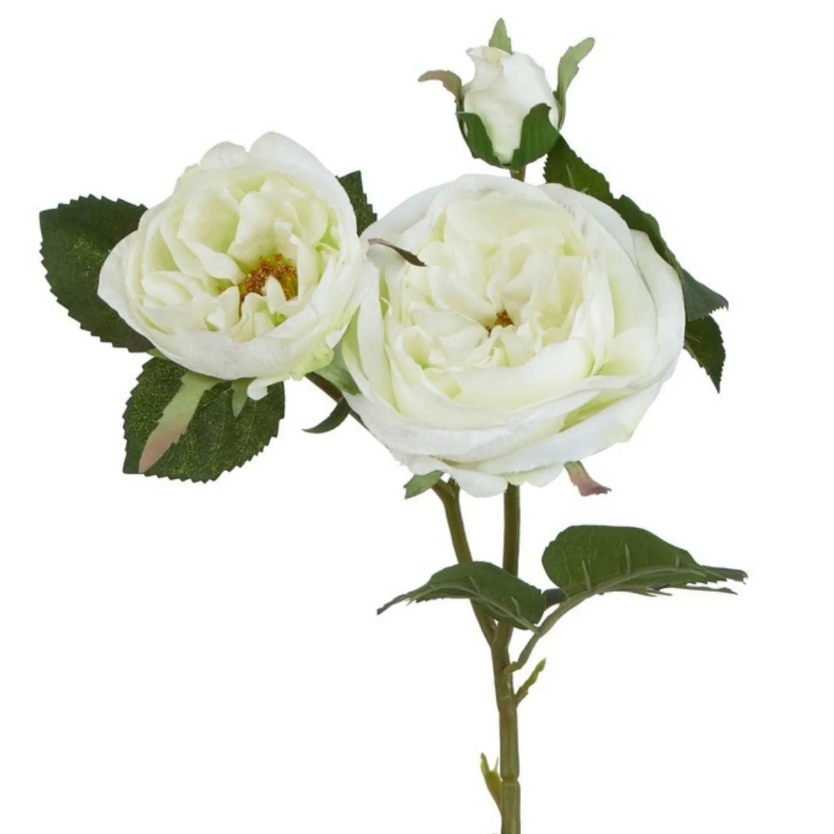 Artificial White Charity Rose Stem with Open Blooms & Rosebud – Lifelike White Faux Rose Flowers with Realistic Green Foliage 58cm – White Rose Flower Heads & Green Foliage | Click Style