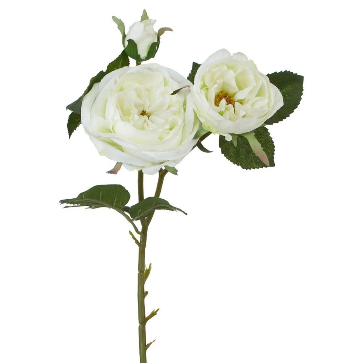 Artificial White Charity Rose Stem with Open Blooms & Rosebud – Lifelike White Faux Rose Flowers with Realistic Green Foliage 58cm – Open Blooms & Rosebud Detail | Click Style