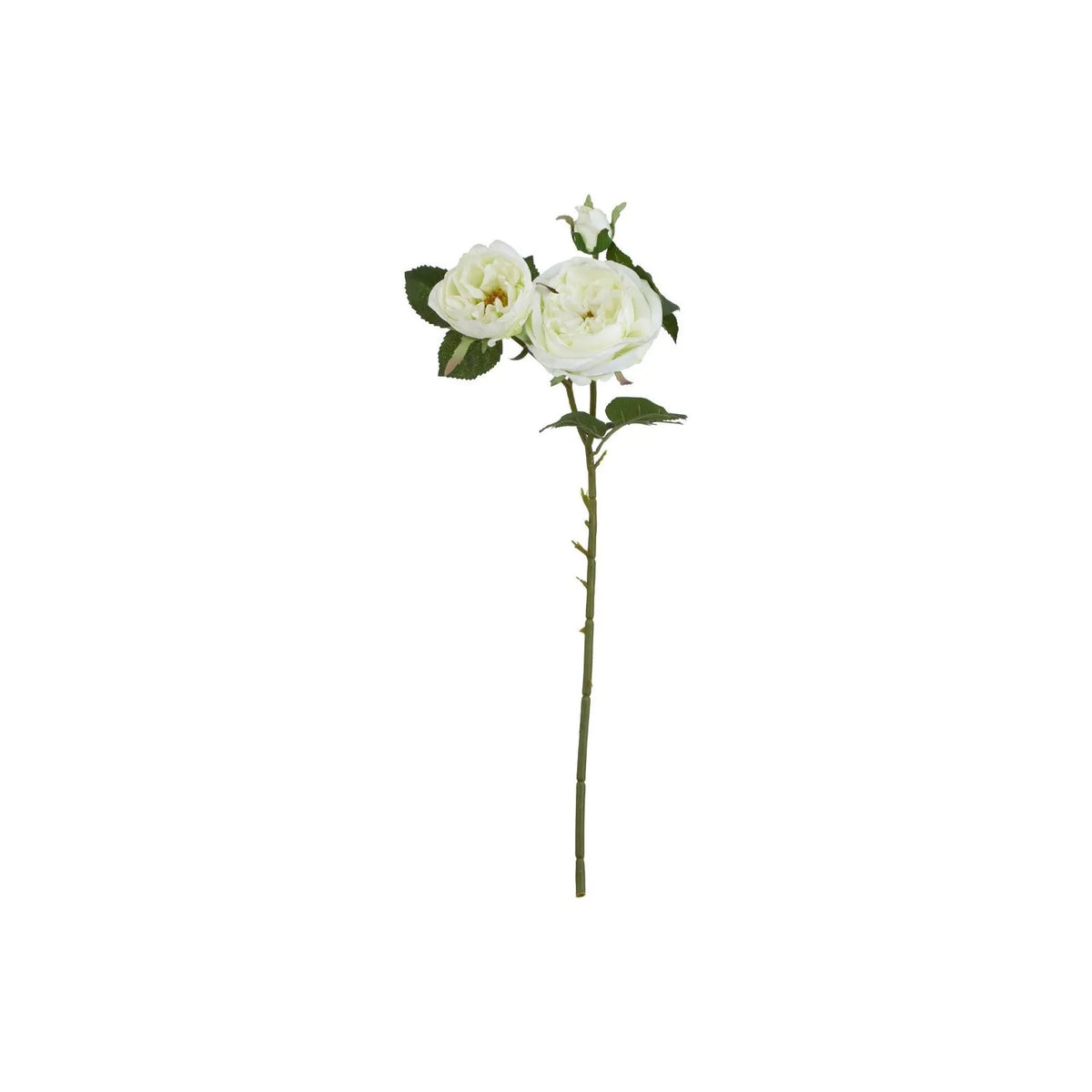 Artificial White Charity Rose Stem with Open Blooms & Rosebud – Lifelike White Faux Rose Flowers with Realistic Green Foliage 58cm – Full Stem View | Click Style