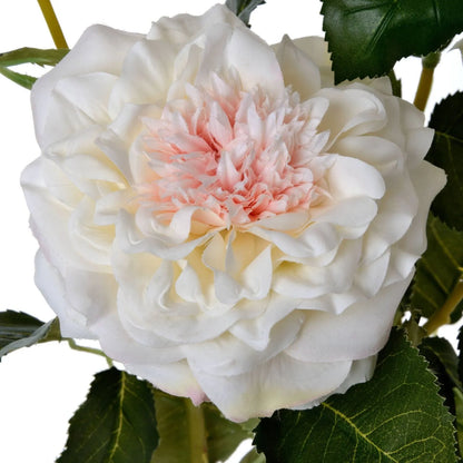 Artificial White Garden Rose Spray with Open Bloom & Rosebud – Lifelike White Faux Rose Flower with Pale Pink Centre & Realistic Green Foliage 68cm – Close-Up of Creamy Ivory-White Petals & Pale Pink Centre | Click Style