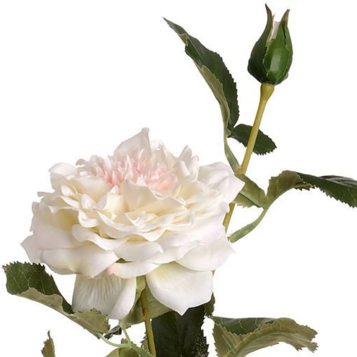 Artificial White Garden Rose Spray with Open Bloom & Rosebud – Lifelike White Faux Rose Flower with Pale Pink Centre & Realistic Green Foliage 68cm – Close-Up of Open White Rose & Developing Rosebud | Click Style
