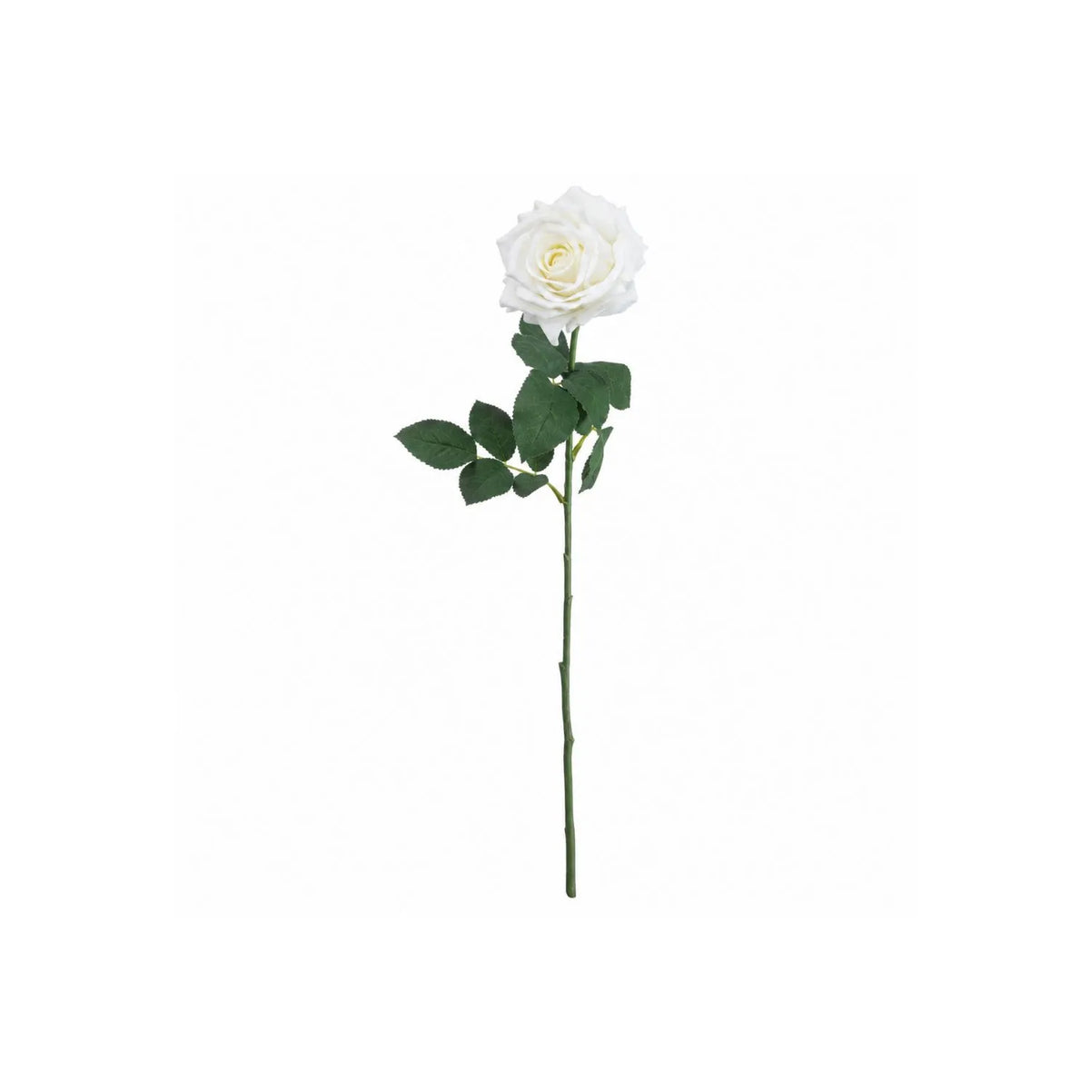 Artificial White Garden Rose with Long Stem & Large Layered Bloom – Lifelike White Faux Rose Flower with Realistic Green Foliage 75cm – Full Stem View | Click Style
