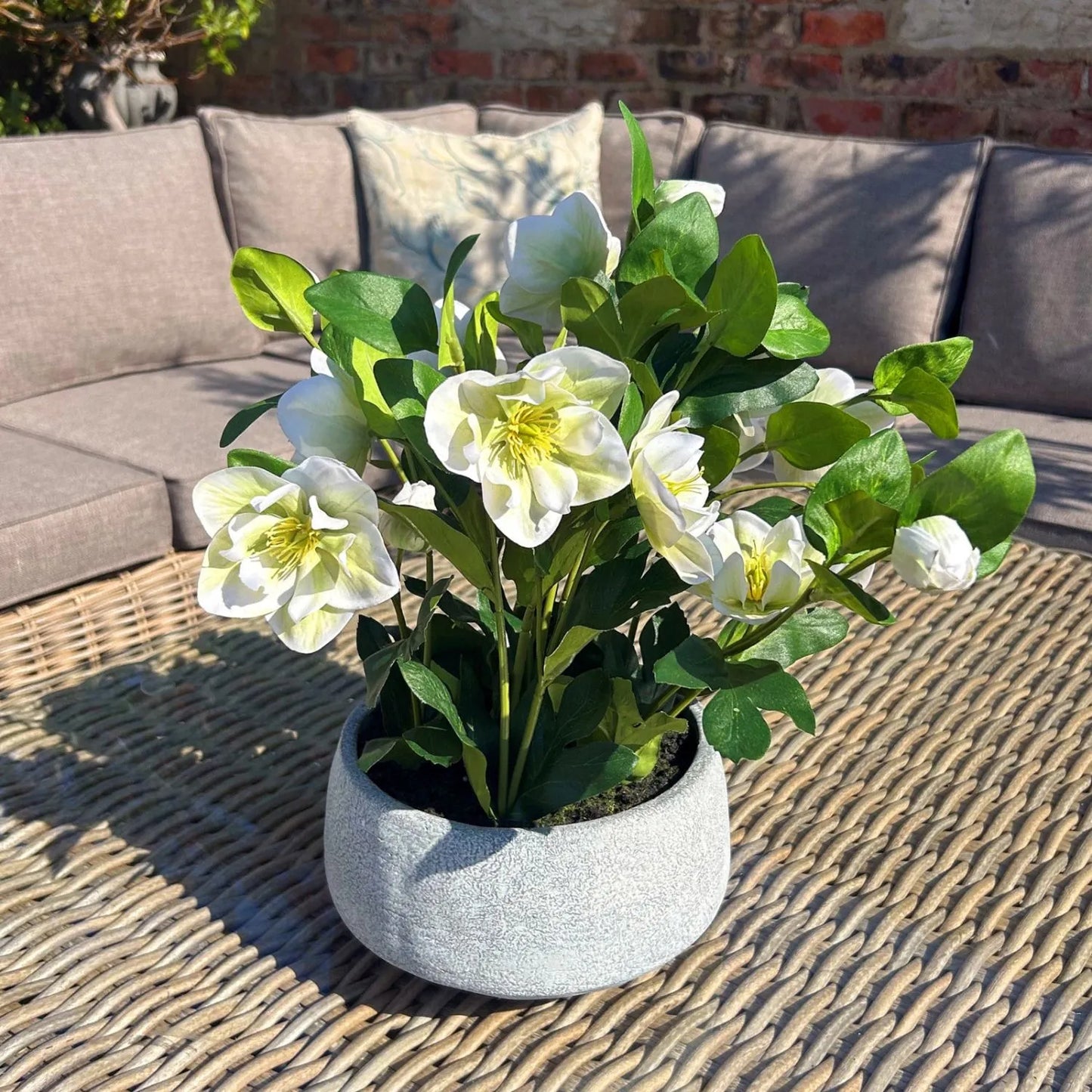 Artificial White Hellebore Plant In Grey Ceramic Pot Realistic Faux Christmas Rose Flower Arrangement 41x38x33cm | Click Style