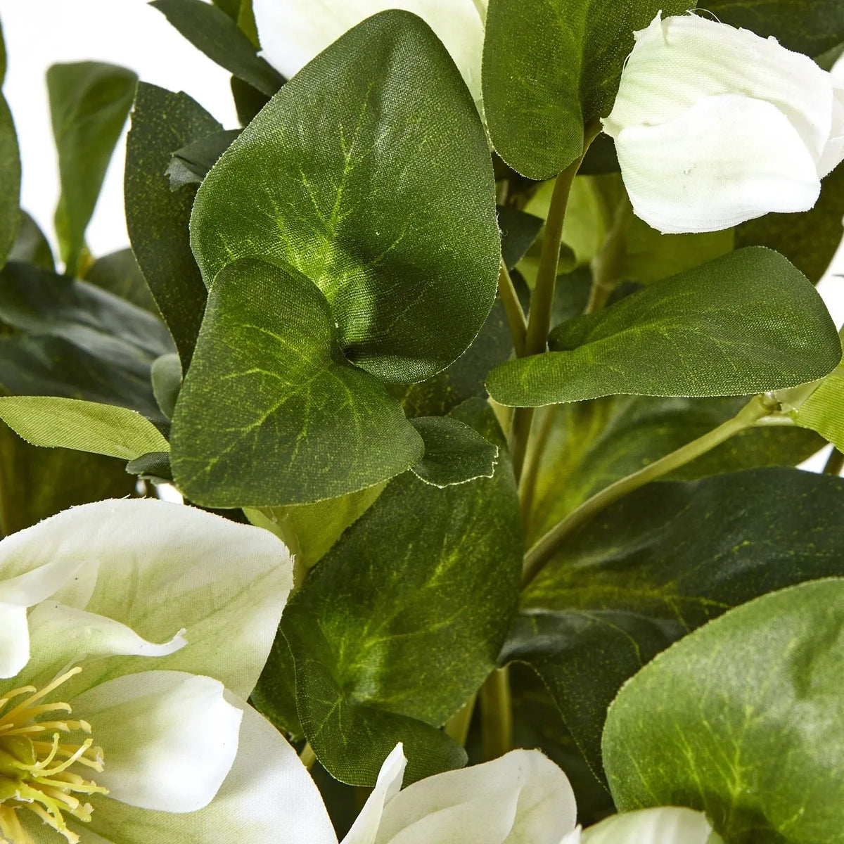 Artificial White Hellebore Plant in Grey Ceramic Pot – Realistic White Faux Christmas Rose Flower Arrangement 41x38x33cm – Close-Up of Varied Green Foliage, Leaf Veining & White Flowers | Click Style