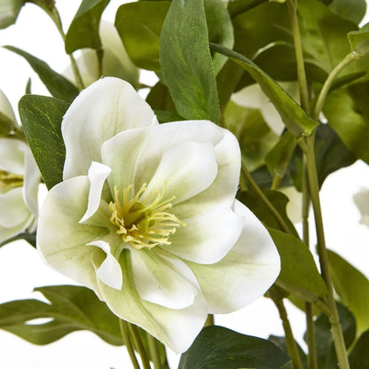 Artificial White Hellebore Plant in Grey Ceramic Pot – Realistic White Faux Christmas Rose Flower Arrangement 41x38x33cm – Close-Up of White Hellebore Flower with Soft Green Undertones & Golden-Yellow Stamens | Click Style