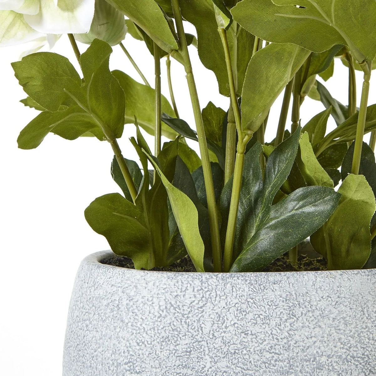 Artificial White Hellebore Plant in Grey Ceramic Pot – Realistic White Faux Christmas Rose Flower Arrangement 41x38x33cm – Close-Up of Stems, Green Foliage & Textured Grey Ceramic Pot | Click Style