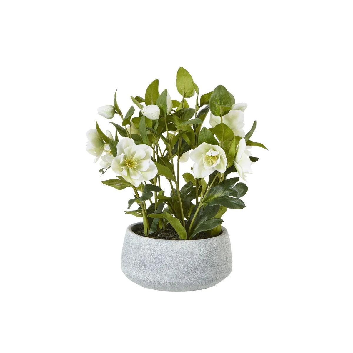 Artificial White Hellebore Plant in Grey Ceramic Pot – Realistic White Faux Christmas Rose Flower Arrangement 41x38x33cm – Full Plant & Grey Ceramic Pot Front View | Click Style
