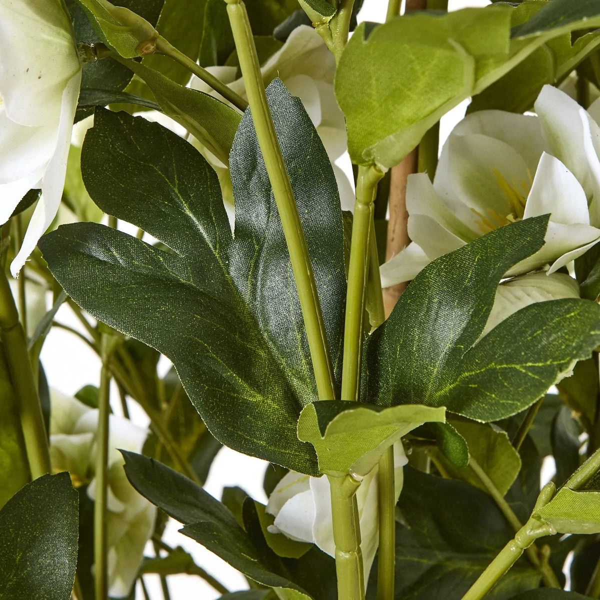 Artificial White Hellebore Plant in Textured Grey Pot – Realistic White Faux Christmas Rose Flower Arrangement 85x52x52cm – Realistic Green Foliage & Stem Detail | Click Style