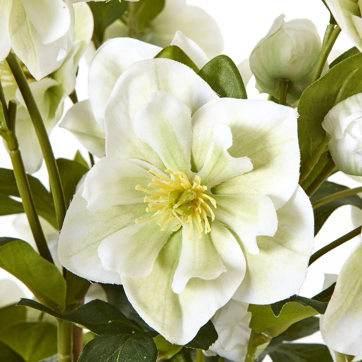 Artificial White Hellebore Plant in Textured Grey Pot – Realistic White Faux Christmas Rose Flower Arrangement 85x52x52cm – White Hellebore Flower Detail | Click Style