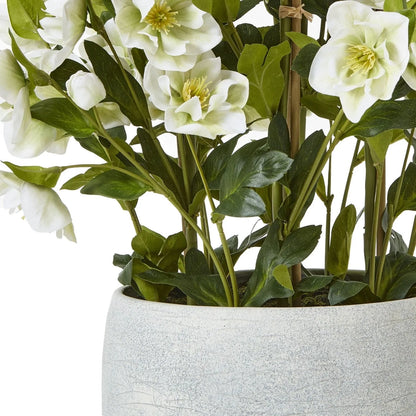 Artificial White Hellebore Plant in Textured Grey Pot – Realistic White Faux Christmas Rose Flower Arrangement 85x52x52cm – Textured Grey Pot & Foliage Detail | Click Style