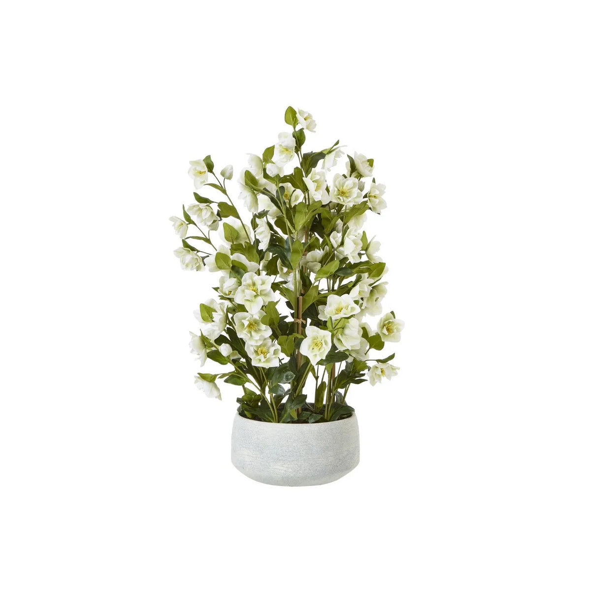 Artificial White Hellebore Plant in Textured Grey Pot – Realistic White Faux Christmas Rose Flower Arrangement 85x52x52cm – Full Potted Plant | Click Style