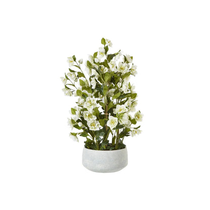 Artificial White Hellebore Plant in Textured Grey Pot – Realistic White Faux Christmas Rose Flower Arrangement 85x52x52cm – Full Potted Plant | Click Style