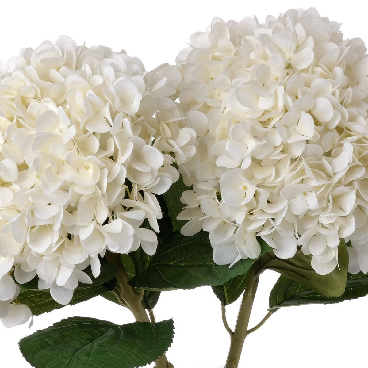 Artificial White Hydrangea with Long Stem & Oversized Bloom – Large Lifelike Faux White Hydrangea Flower with Realistic Green Foliage 73cm – White Blooms & Realistic Green Foliage Detail | Click Style